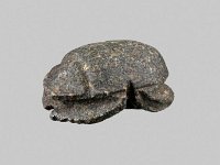 Aeg S 50  Aeg S 50, Skarabäus, Basalt, H 0,9 cm, B 1,5 cm, T 2,1 cm : Bestandskatalog Ägypten, Museumsfoto: Claus Cordes